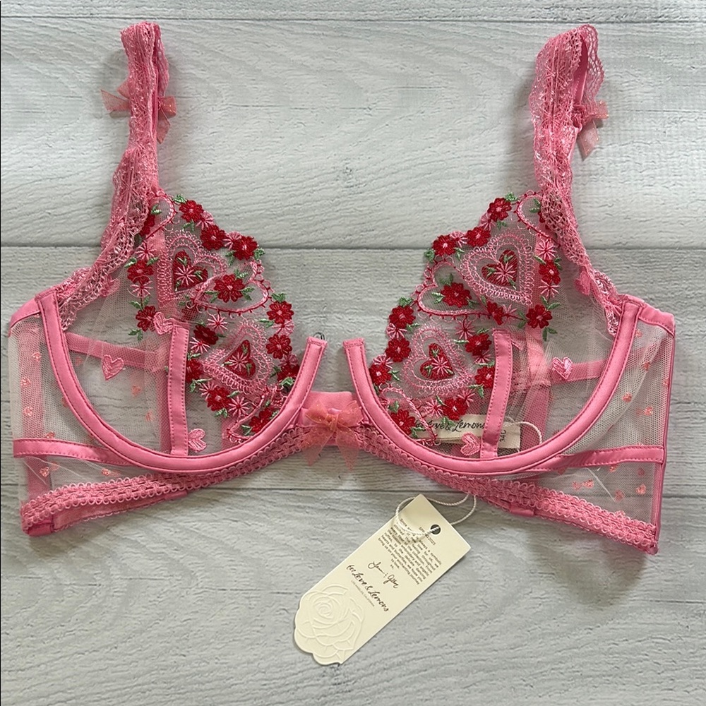 For Love & Lemons Whimsical Garden Bra Size 34C Pink Red Hearts Flowers Bows